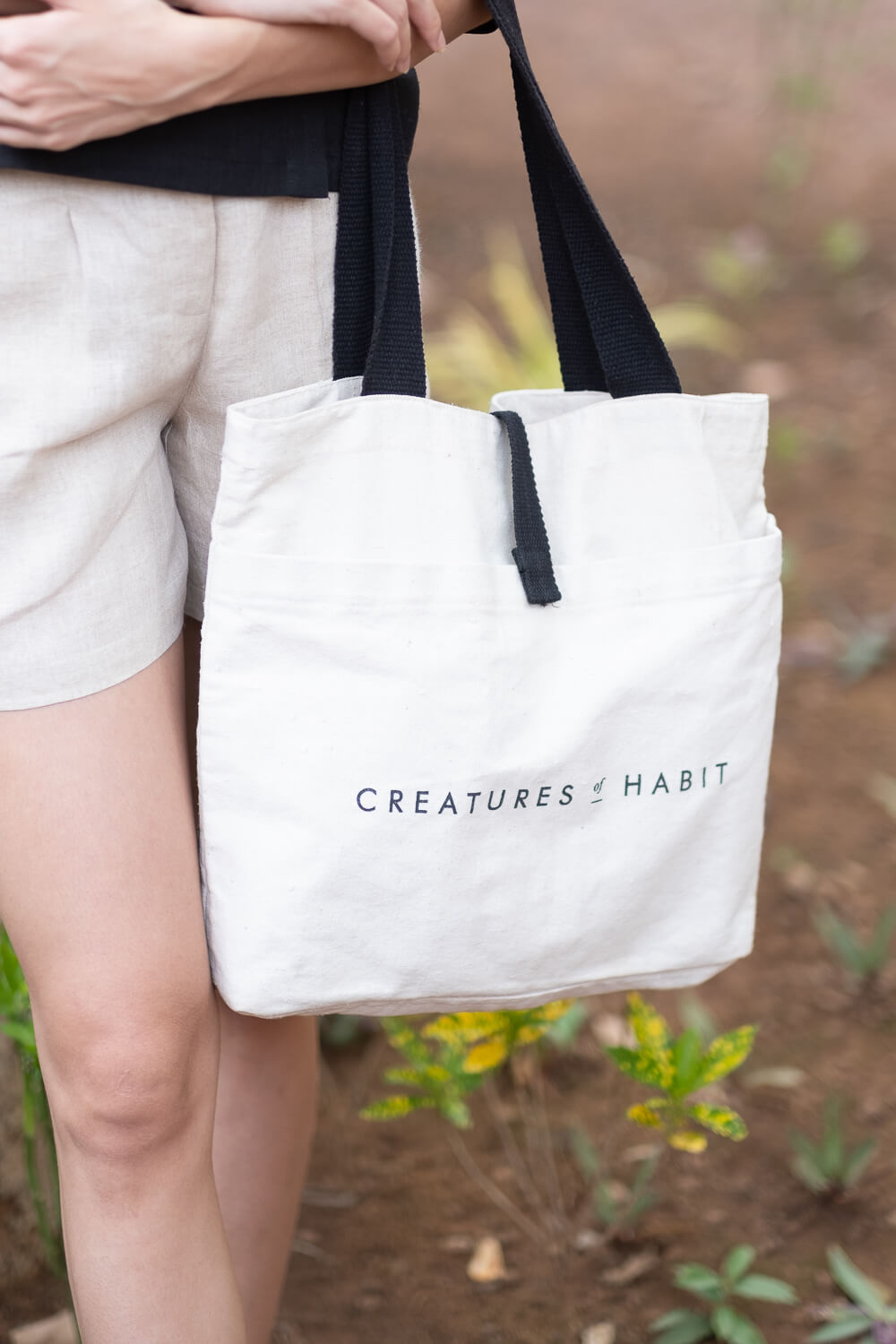 The Daily Tote | Creatures of Habit